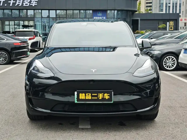 Tesla Model Y — Фото автомобиля 2