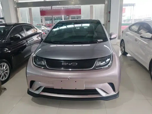 BYD Dolphin — Фото автомобиля 2