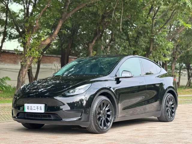 Tesla Model Y — Фото автомобиля 4