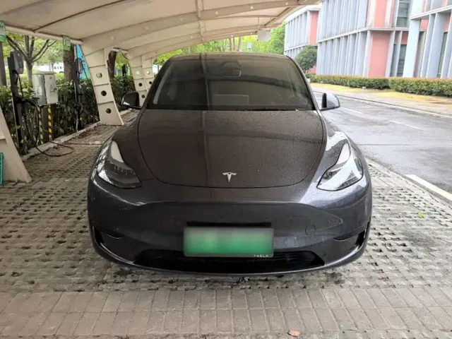 Tesla Model Y — Фото автомобиля 2