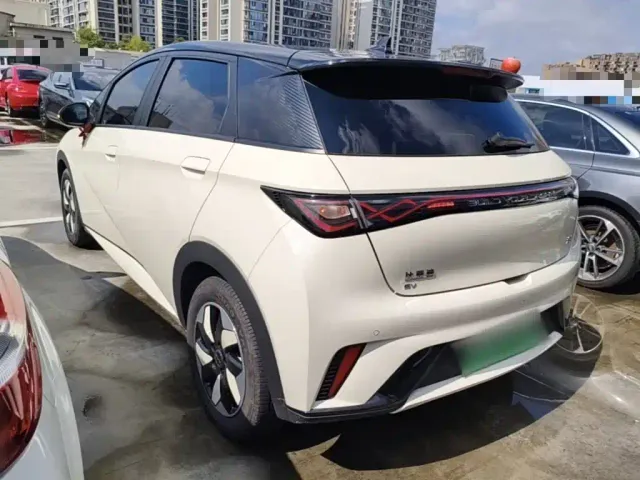 BYD Dolphin — Фото автомобиля 4