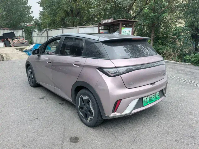 BYD Dolphin — Фото автомобиля 7