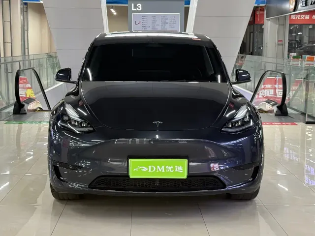 Tesla Model Y — Фото автомобиля 2