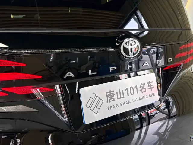 Toyota Alphard — Фото автомобиля 14
