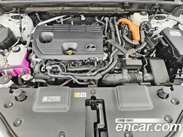 Lexus NX — Фото автомобиля 6