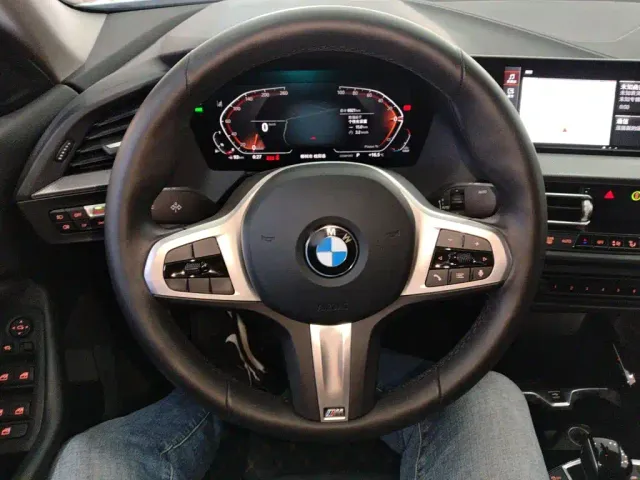BMW 2 Series — Фото автомобиля 4
