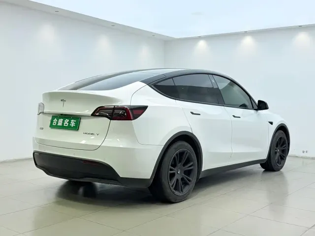 Tesla Model Y — Фото автомобиля 10