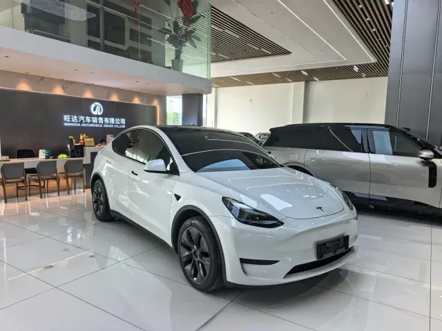 Tesla Model Y — Фото автомобиля 3