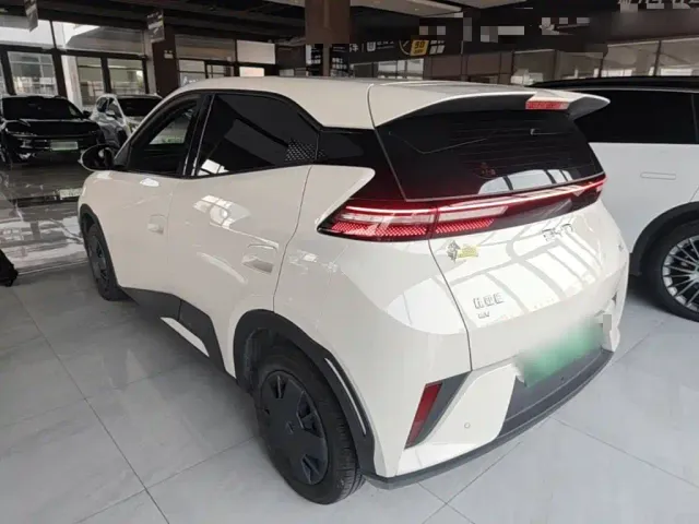 BYD Seagull 2025 Smart Drive Edition 305km Vitality Version — Фото автомобиля 4