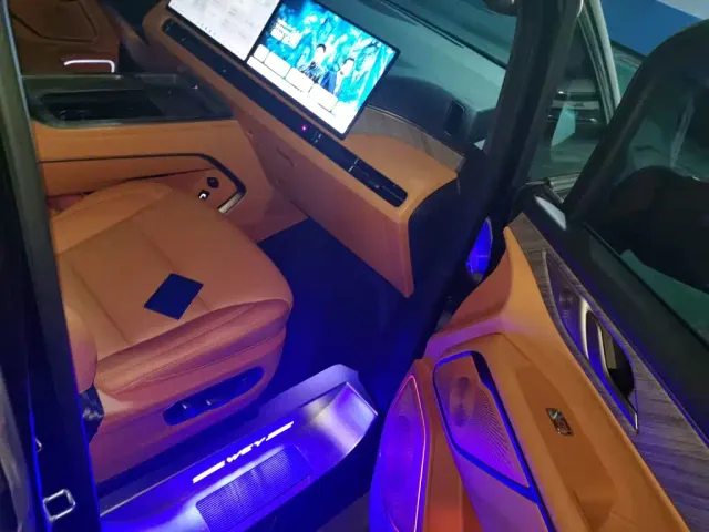 Wey Alpine — Фото автомобиля 19
