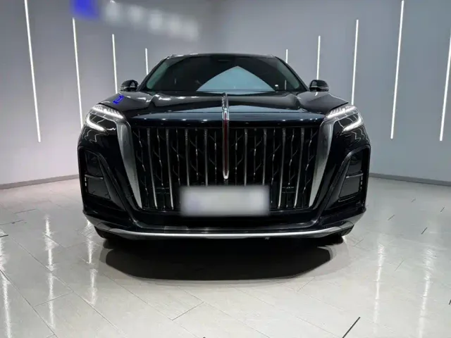 Hongqi HS3 — Фото автомобиля 20