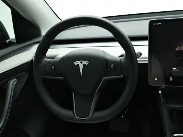 Tesla Model Y — Фото автомобиля 16