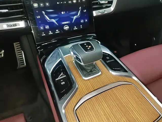 Hongqi E-HS9 — Фото автомобиля 13