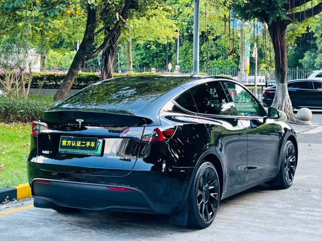 Tesla Model Y — Фото автомобиля 4