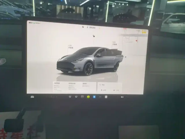 Tesla Model Y — Фото автомобиля 12