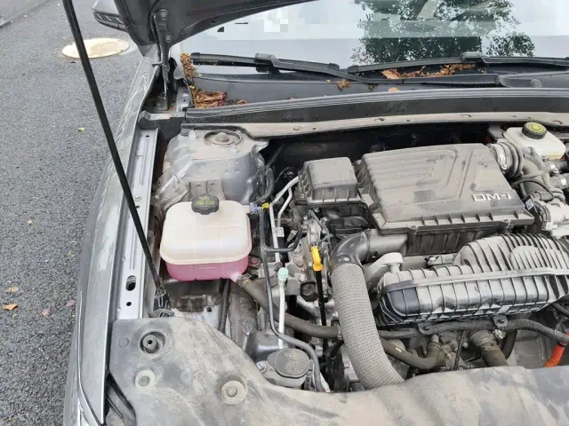 BYD Qin PLUS — Фото автомобиля 21