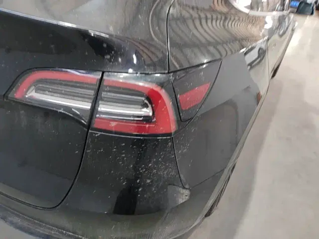 Tesla Model Y — Фото автомобиля 23