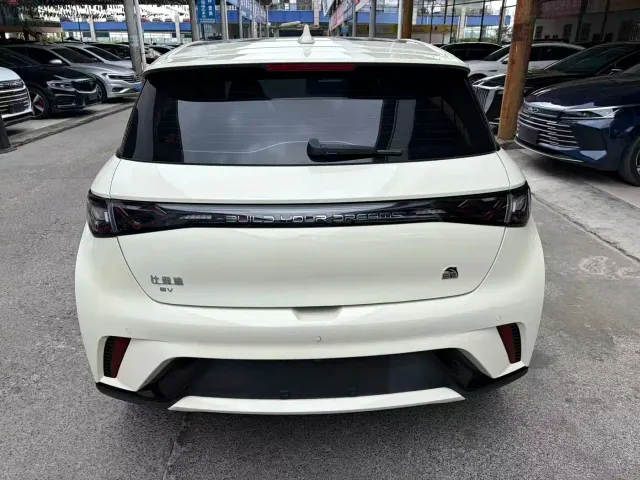 BYD Dolphin — Фото автомобиля 12
