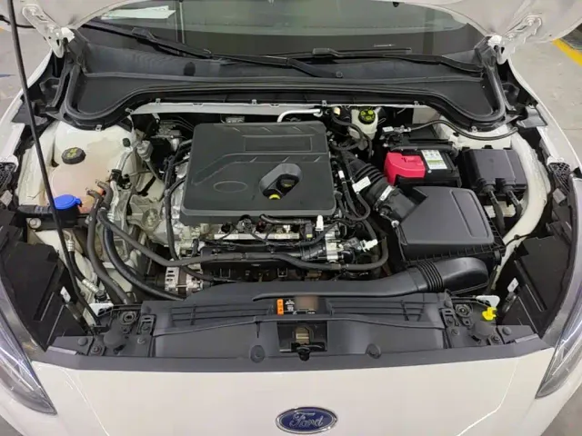 Ford Focus — Фото автомобиля 19