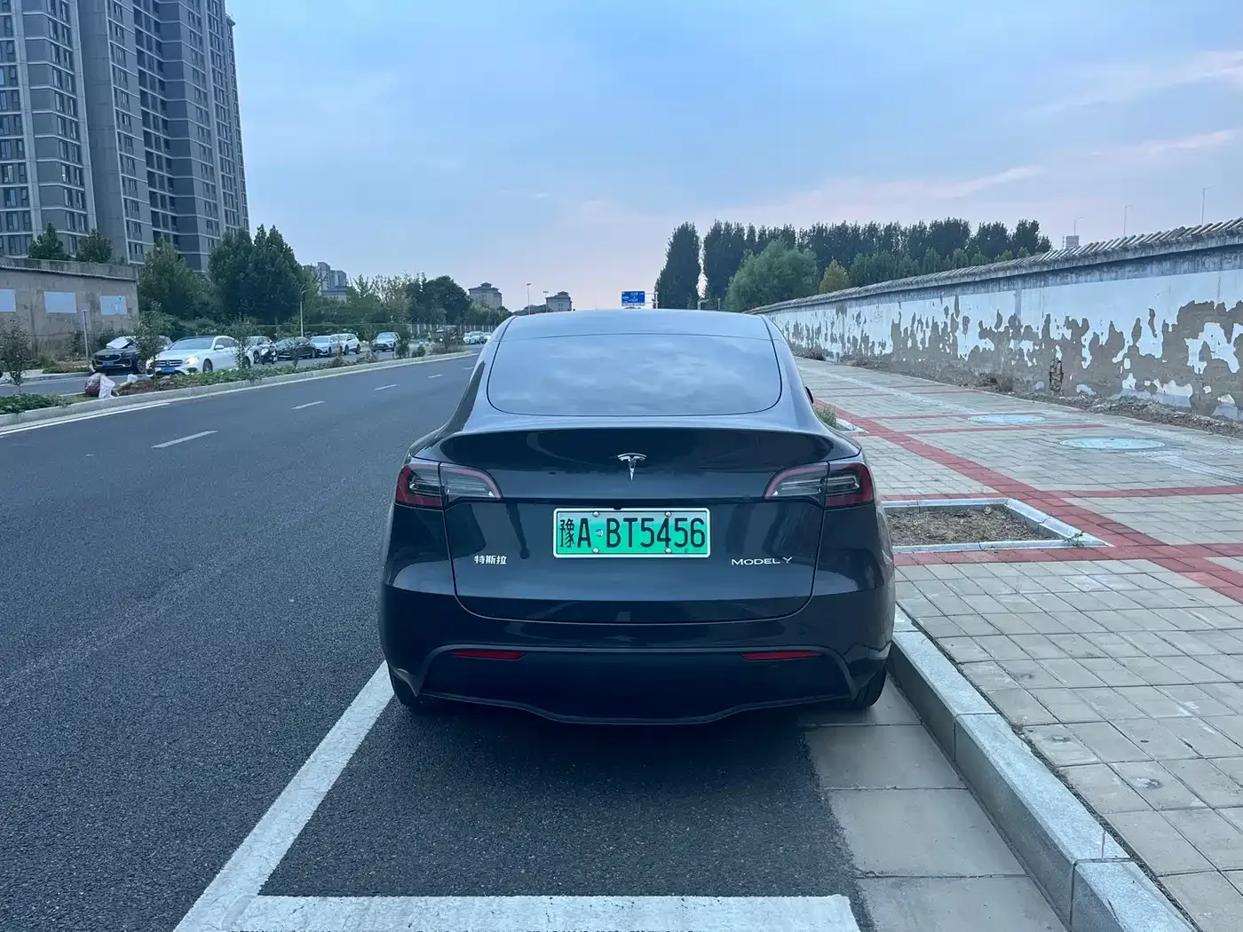 Tesla Model Y 2024 Long Range AWD — Фото автомобиля 8