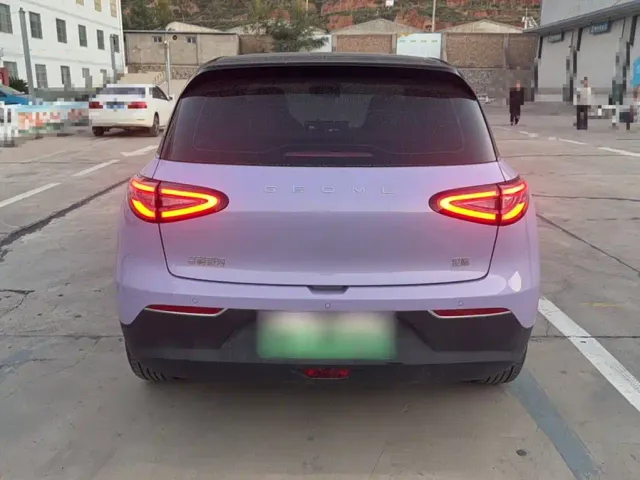 Geely Starry Wish — Фото автомобиля 12
