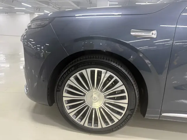 Leapmotor D Series — Фото автомобиля 3