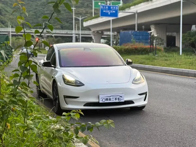Tesla Model 3 — Фото автомобиля 3