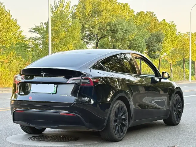 Tesla Model Y — Фото автомобиля 9