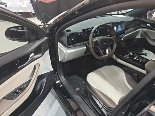 BYD Qin PLUS — Фото автомобиля 20