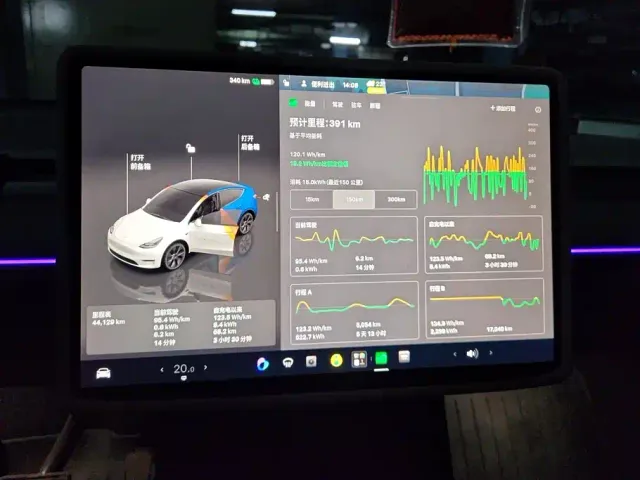 Tesla Model Y — Фото автомобиля 13