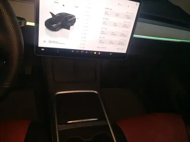 Tesla Model Y — Фото автомобиля 13