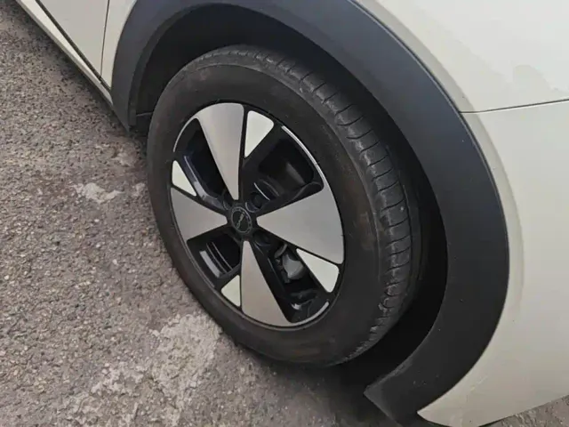 BYD Dolphin — Фото автомобиля 6