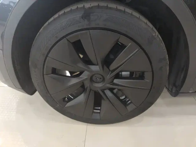 Tesla Model Y — Фото автомобиля 22
