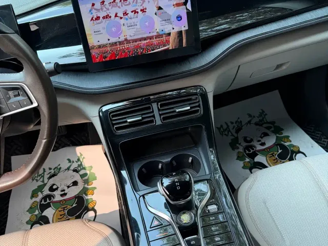 BYD Qin PLUS — Фото автомобиля 15
