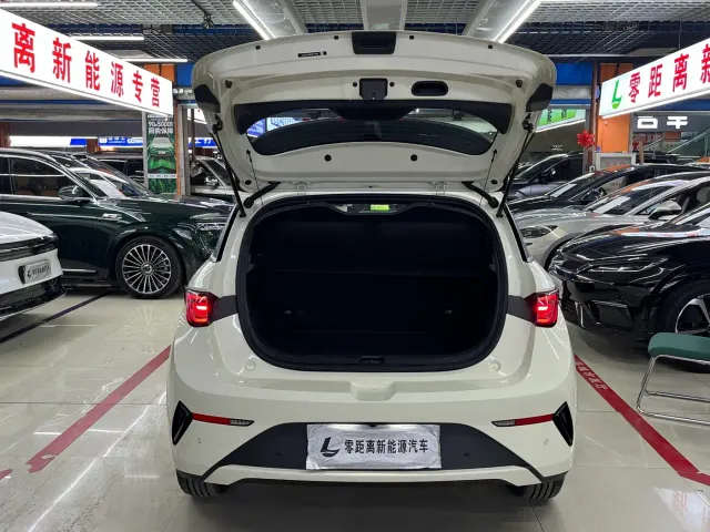BYD Dolphin — Фото автомобиля 16