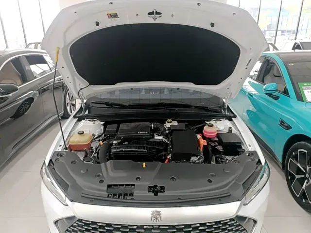 BYD Qin PLUS — Фото автомобиля 19