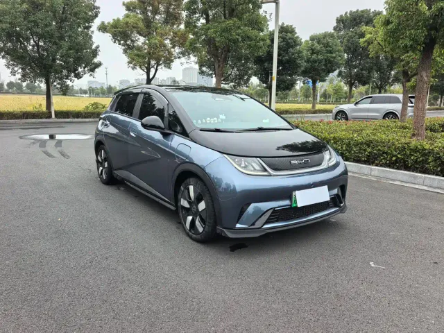 BYD Dolphin — Фото автомобиля 3