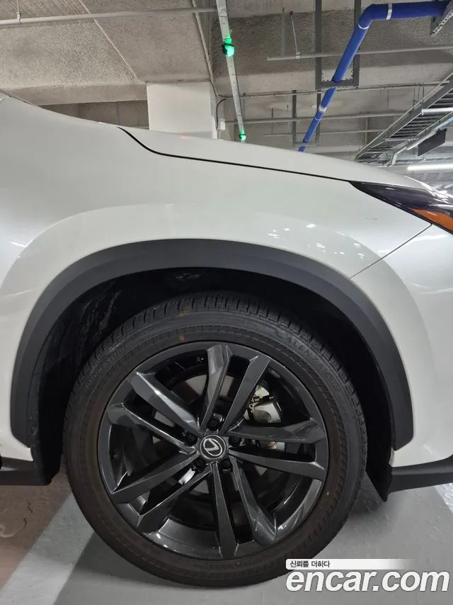 Lexus NX — Фото автомобиля 12