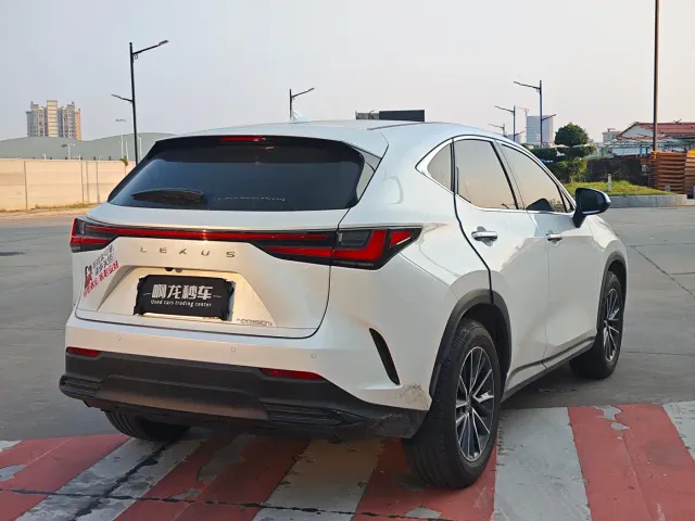 Lexus NX — Фото автомобиля 9