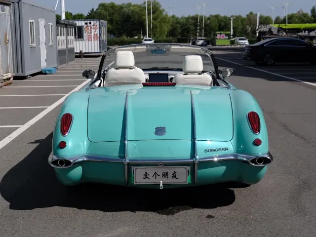 SONGSAN MOTORS SS DOLPHIN — Фото автомобиля 6