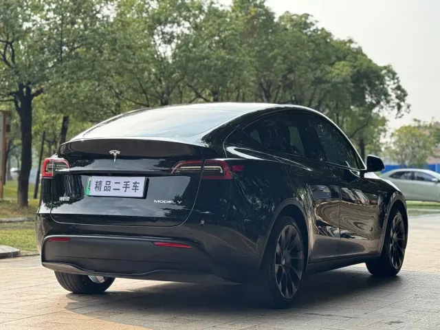 Tesla Model Y — Фото автомобиля 8