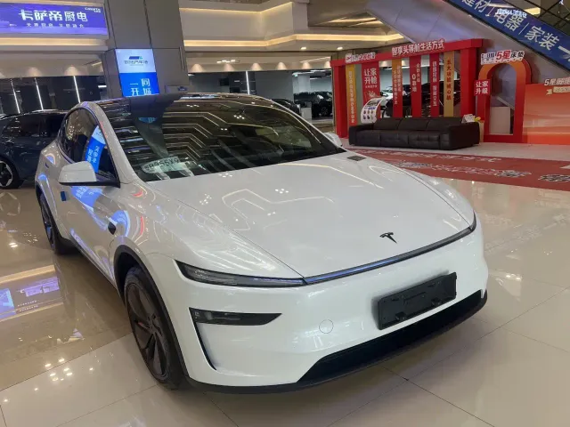 Tesla Model Y — Фото автомобиля 4