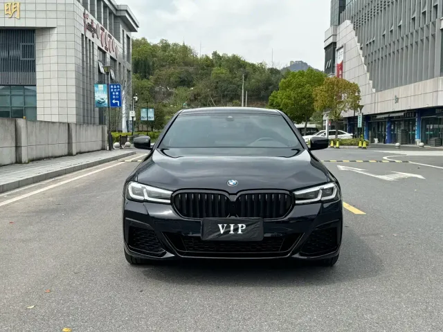BMW 5 Series — Фото автомобиля 2