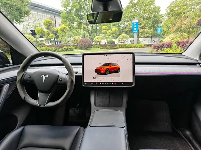 Tesla Model Y — Фото автомобиля 10