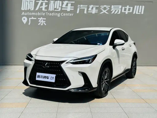 Lexus NX — Фото автомобиля 14