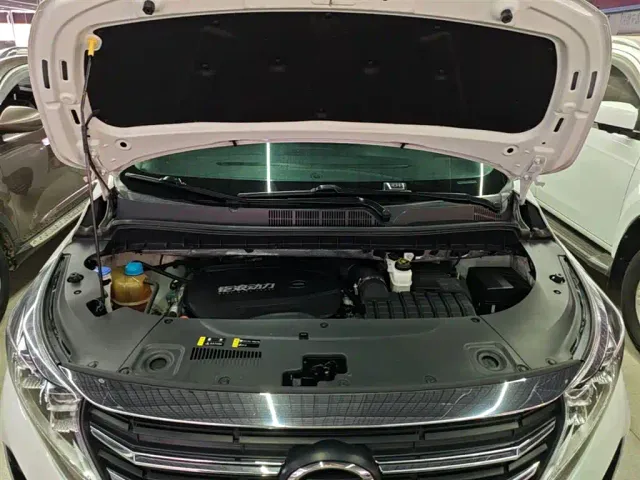 GAC Trumpchi M8 — Фото автомобиля 19