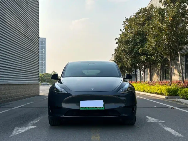 Tesla Model Y — Фото автомобиля 3