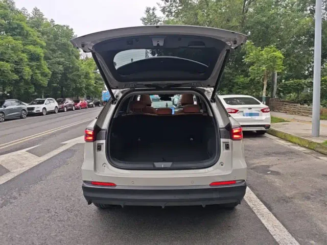 Haval Xiaolong MAX — Фото автомобиля 18