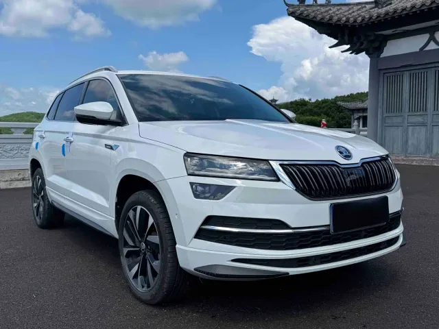 Skoda Karoq — Фото автомобиля 3