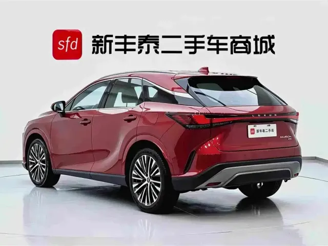 Lexus Lexus RX New Energy 2023 450h+ 4WD Enjoyment — Фото автомобиля 6